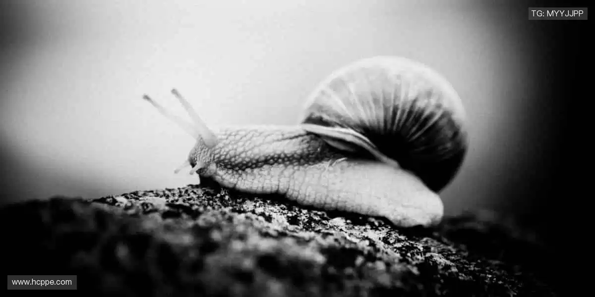 🏆限量珍藏,实力认证!每一件周边,都是荣耀的勋章!